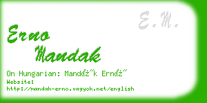 erno mandak business card